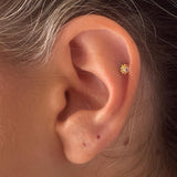 16G Solo Gold Helix Stud Earrings 1 piece