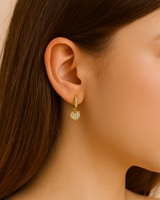 Dazzling Heart Dangle Earrings