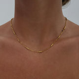 Franky Stainless Steel Chain Necklace