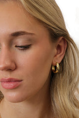 18k gold‑plated star‑engraved hoop earrings with cubic zirconia accents, shown in three sizes for a celestial, night‑sky inspired look.