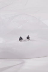 Julie Silver Earrings