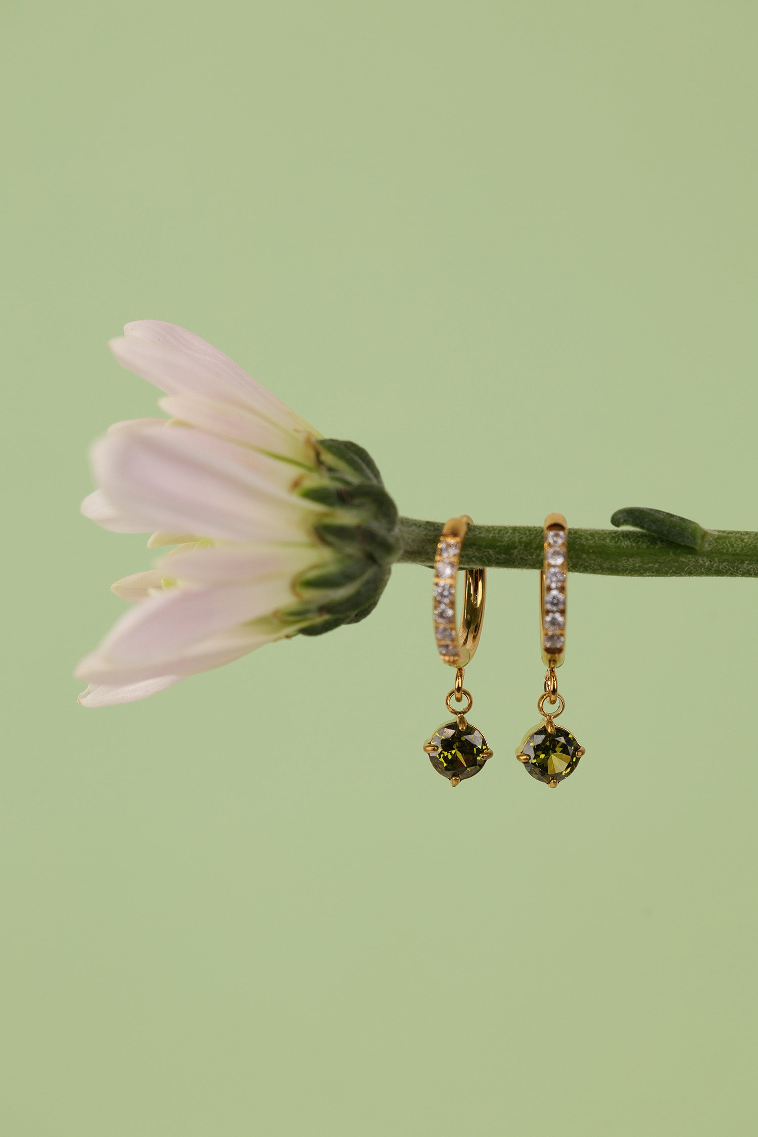 A pair of gold huggie hoop earrings with small clear stones and green peridot faceted drop charms, hanging from a green flower stem against a solid light green background.