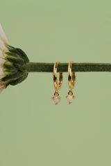 A pair of gold huggie hoop earrings with small dangling white opal, hanging from a green stem against a soft light green background.