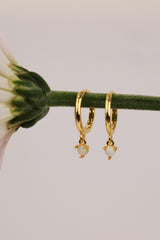 A pair of gold huggie hoop earrings with small dangling white opal stone, hanging from a green stem against a soft light gray background.
