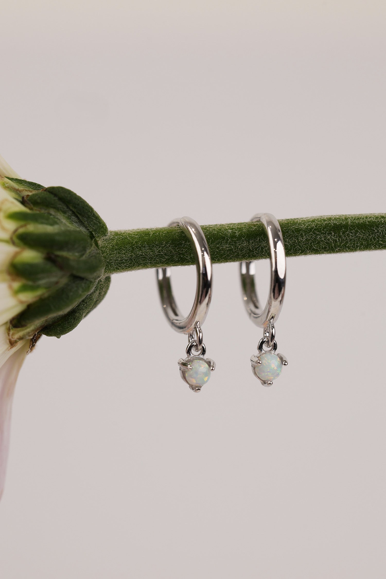 Pair of silver opal dangle huggie hoops, each with a round white opal drop, resting on a green stem.