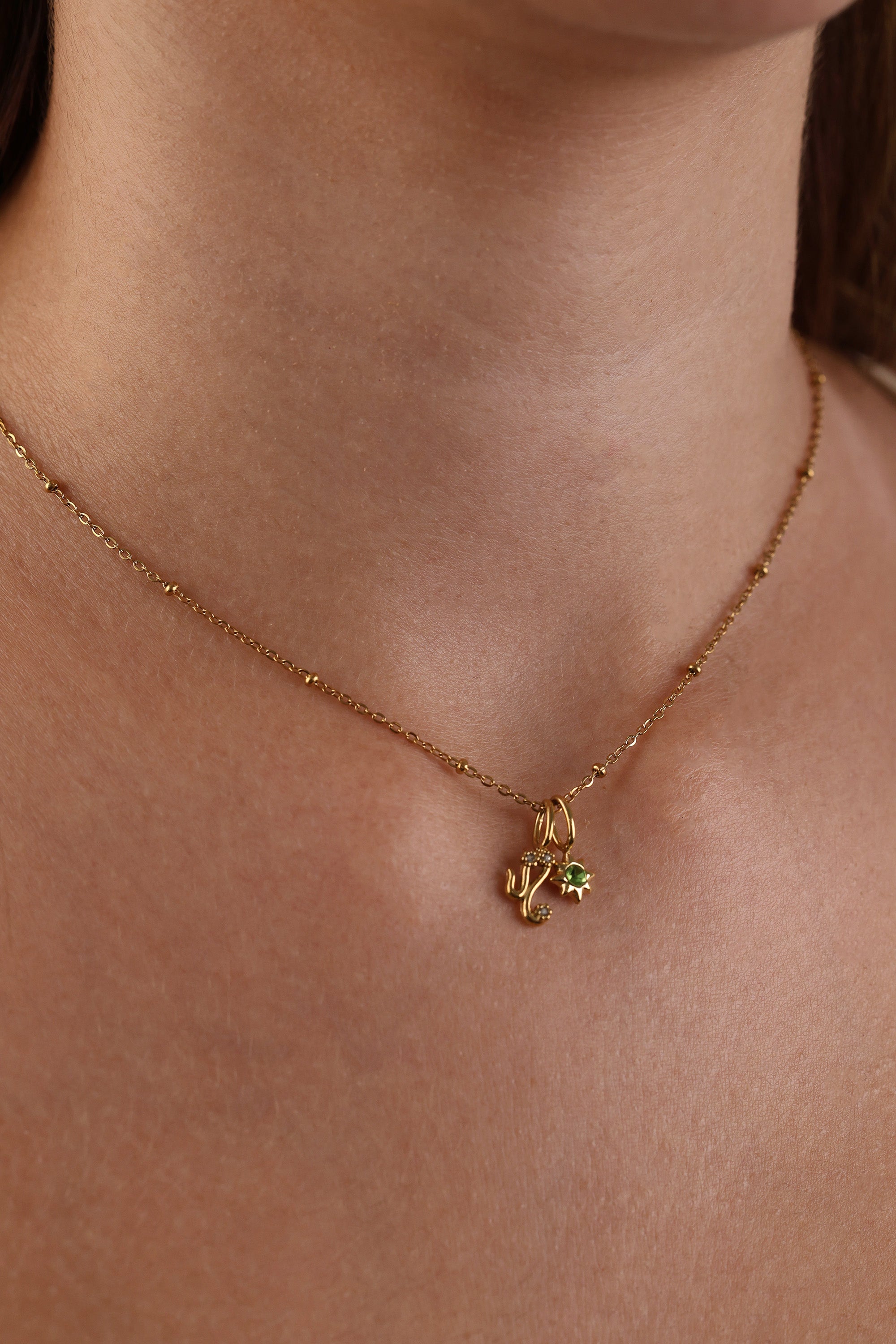 Birthstone & Star Sign Necklace – Waterproof Stainless Steel