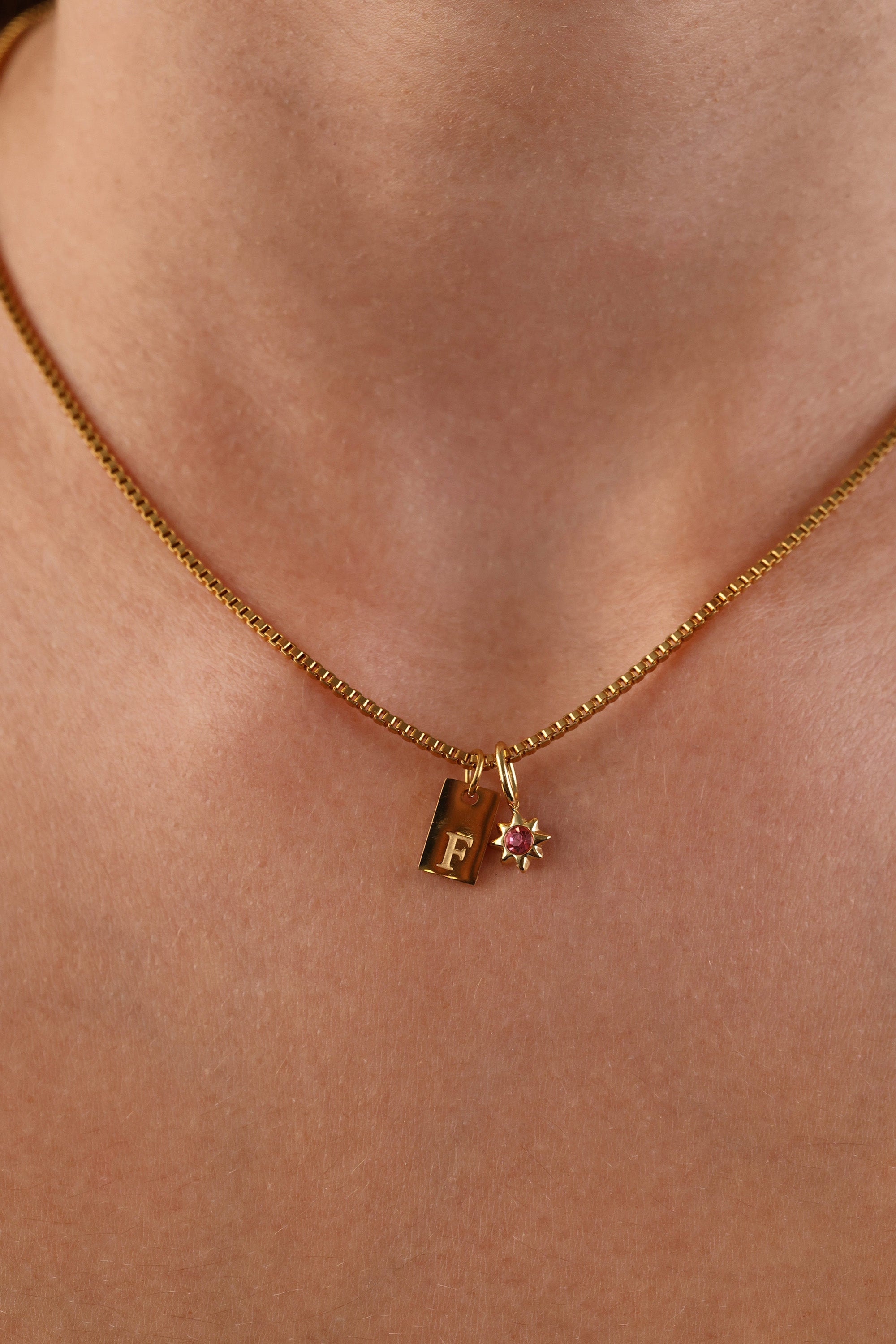 Amaya Initial and Birthstone Necklace- Stainless Steel