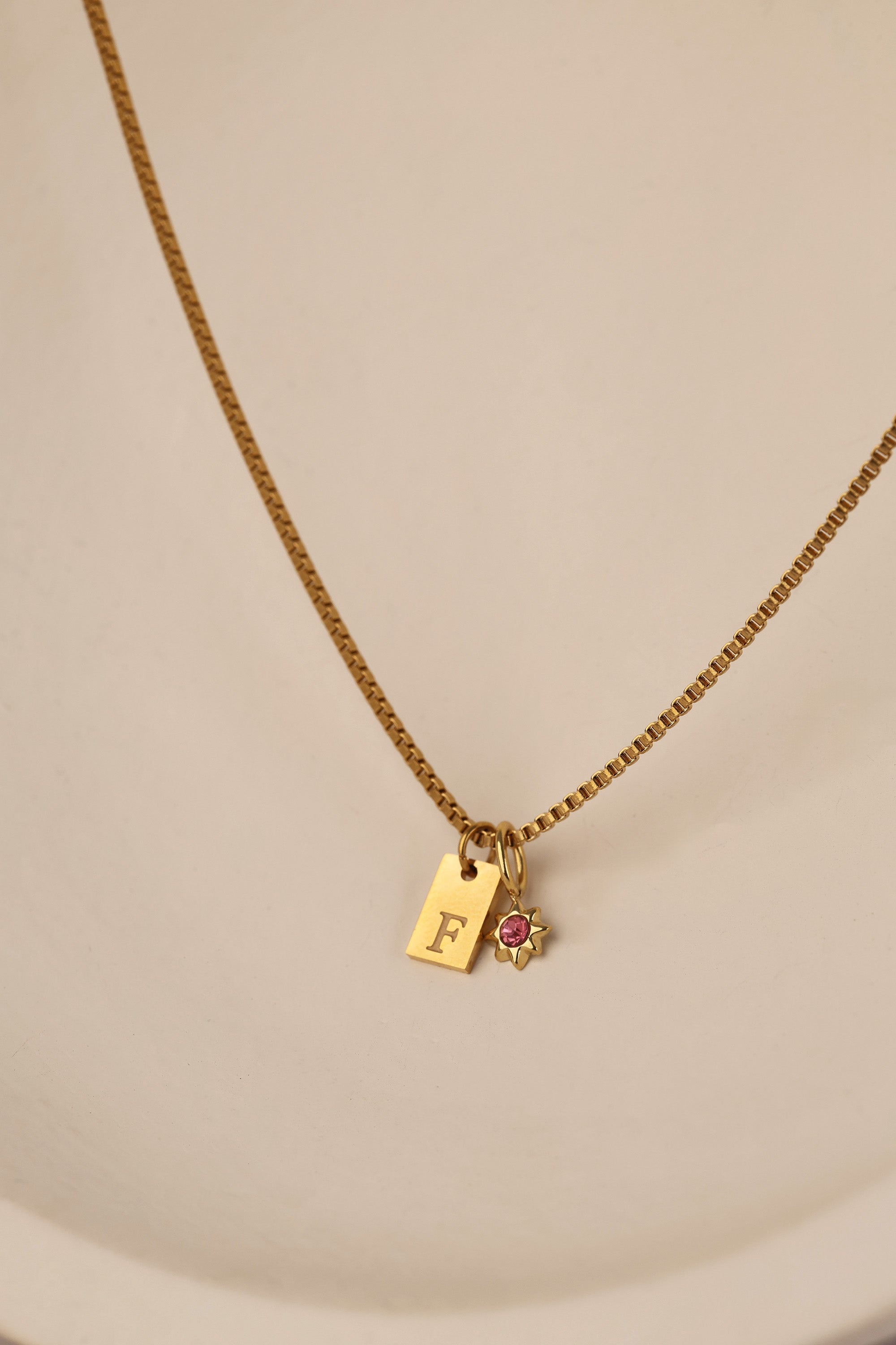 Amaya Initial and Birthstone Necklace- Stainless Steel