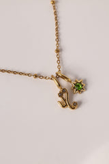 Birthstone & Star Sign Necklace – Waterproof Stainless Steel