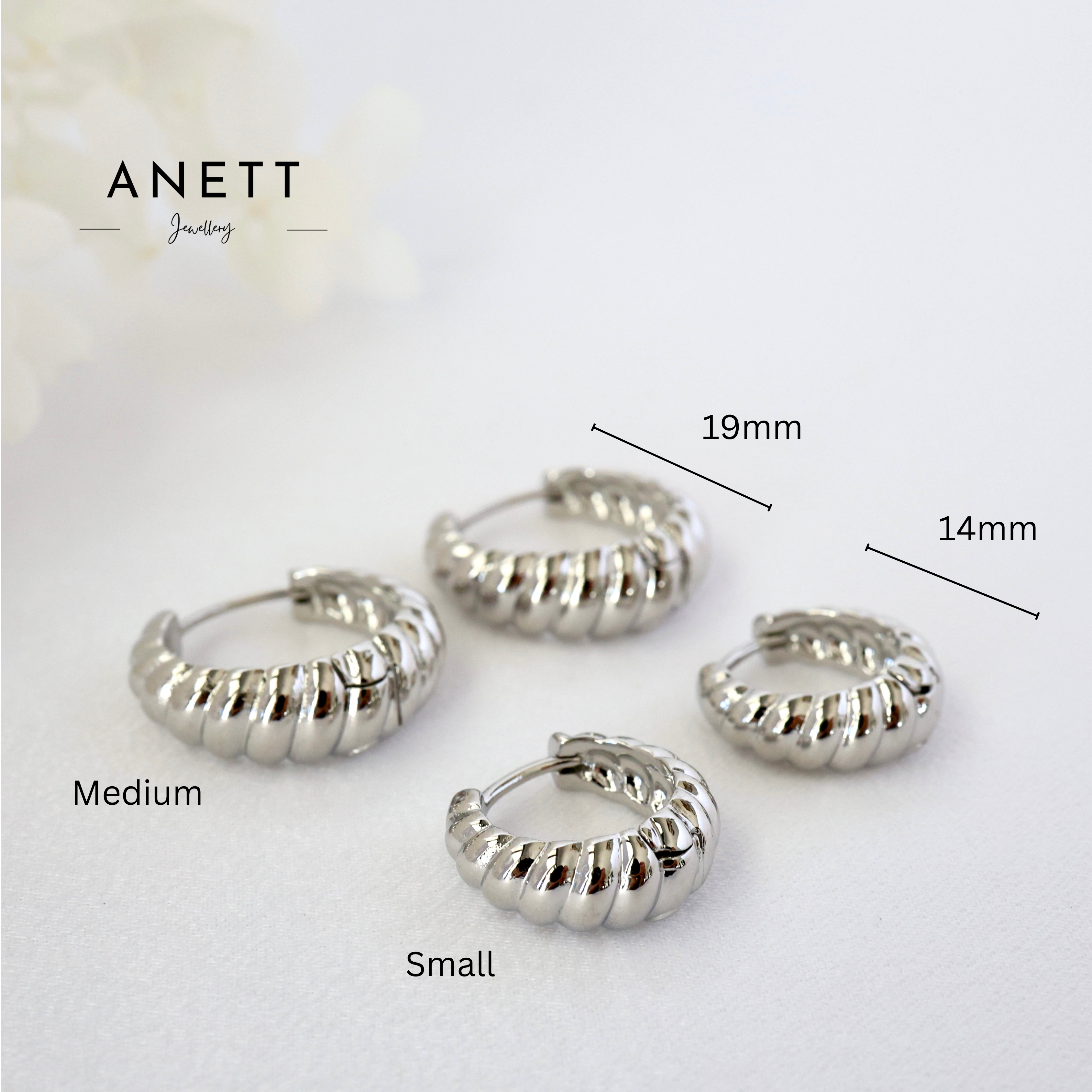 Tamara Twist Hoop Earrings SILVER