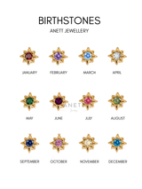 Amaya Initial and Birthstone Necklace- Stainless Steel